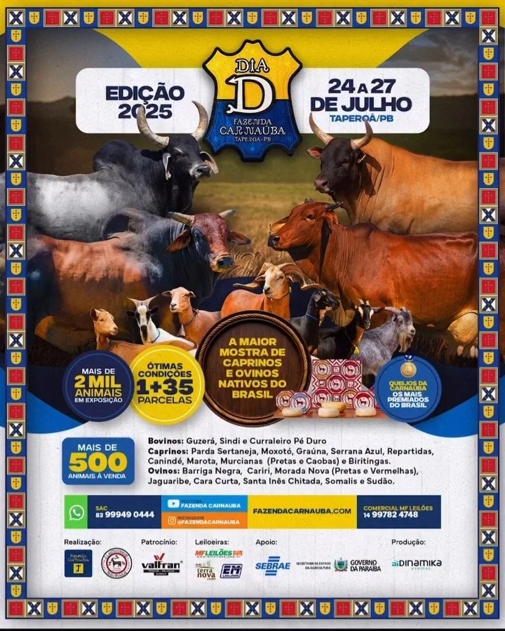 Dia D 2025 da Fazenda Carnaúba